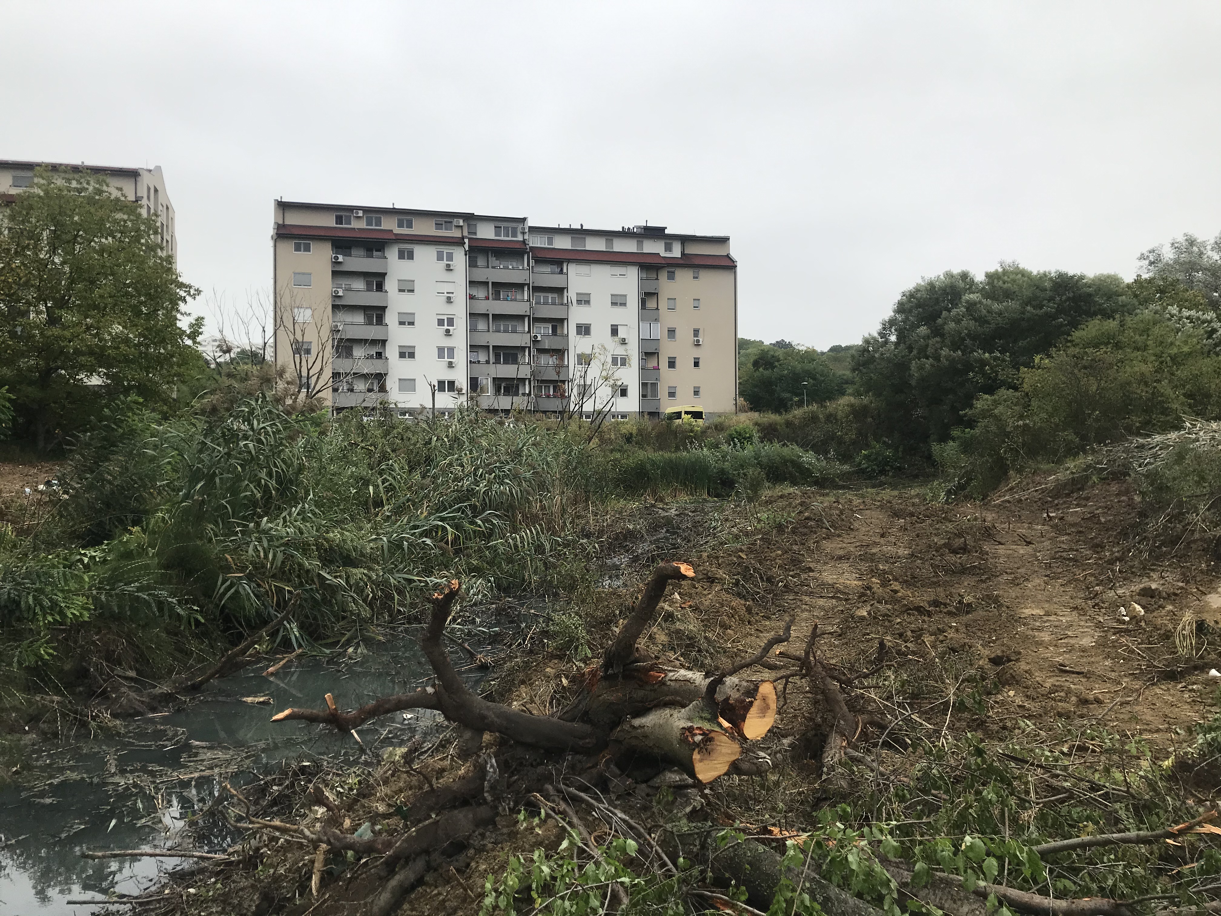 Vesić: Zacevljen deo Mirijevskog potoka i rešen veliki ekološki problem